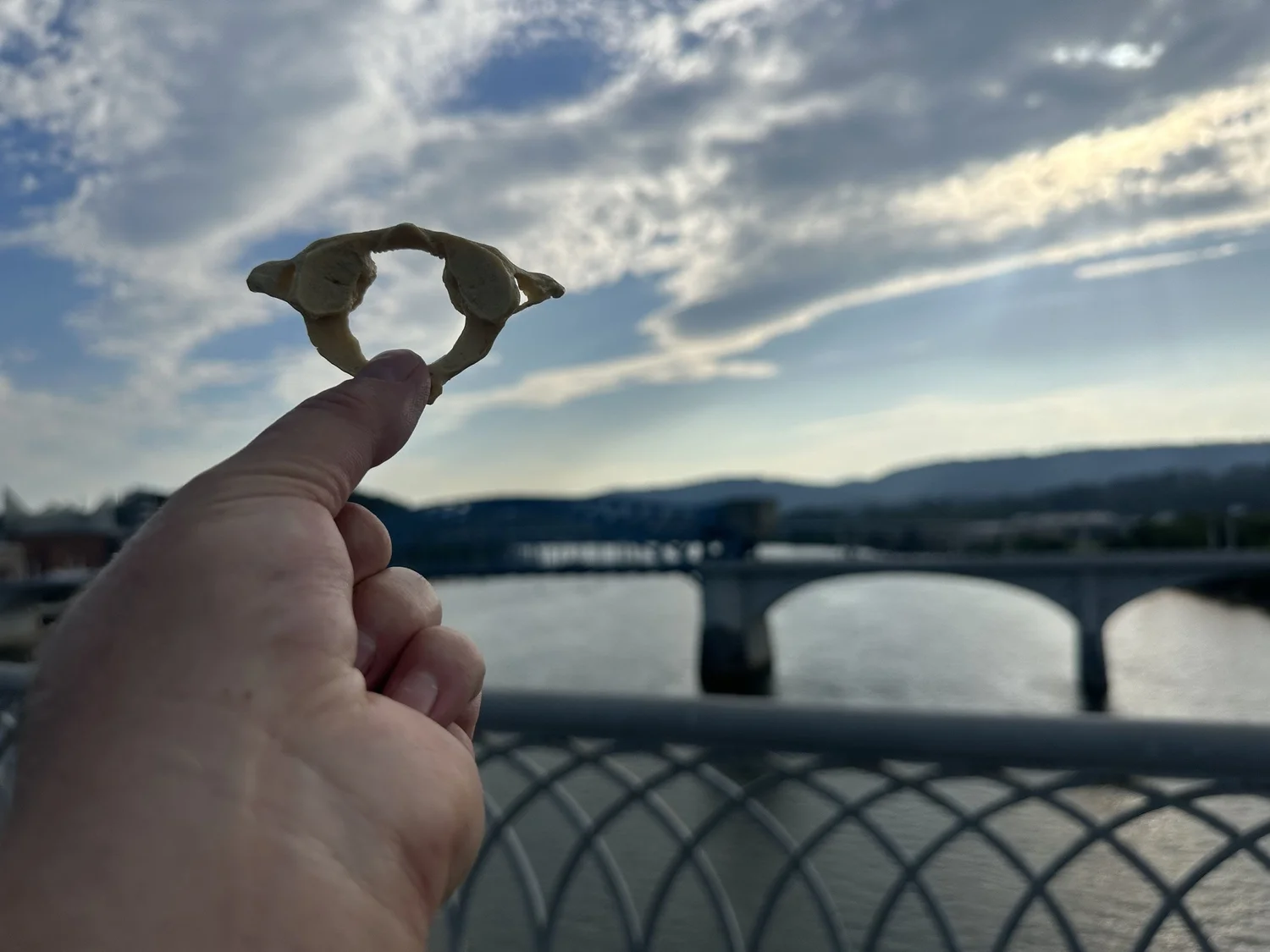Chattanooga Upper Cervical chiropractic