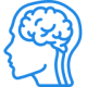 brain