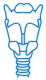 vertebral-column vertebral-column