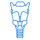 vertebral-column vertebral-column
